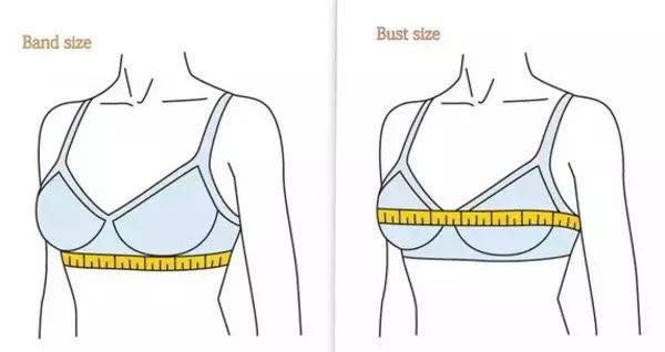 Measuring Bra Size At Home: Step-by-step Help